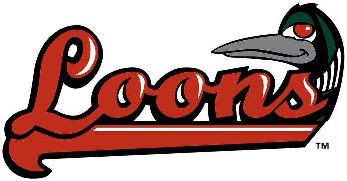 Great Lakes Loons 2007-pres wordmark logo iron on transfers for clothing